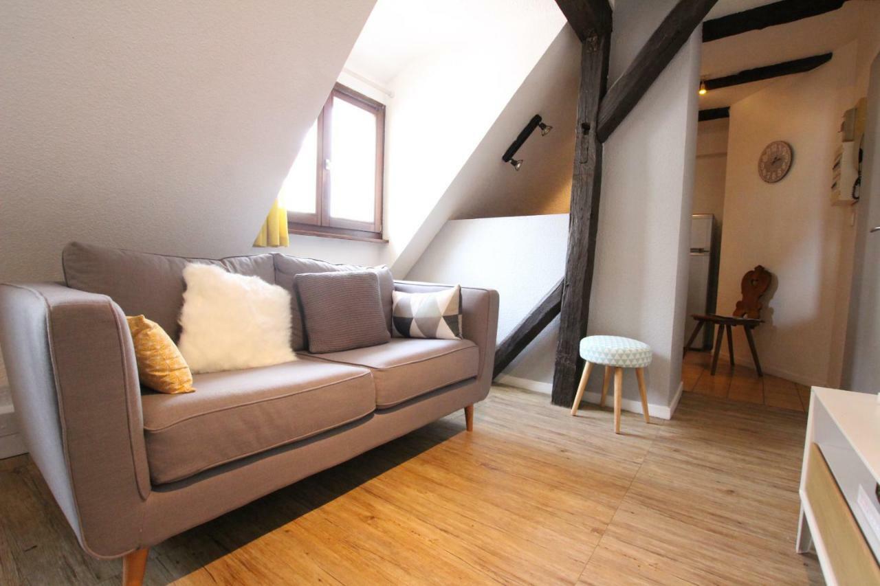 Colmar City Center - Appartement Petit Ours - Bookingalsace Εξωτερικό φωτογραφία